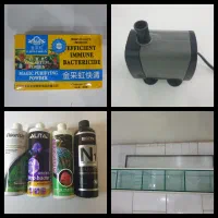 شفاف کننده باکتری گلدن رنبو الیتا بایوزیم N1 سیچم