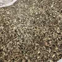 ۲۰۰ کیلو برگ اویشن