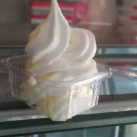 دستگاه بستنی ساز اقتصادی.و ارزون