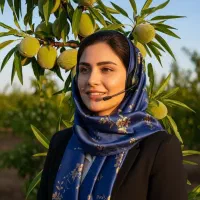 نهال اصلاح شده بادام، پسته، صنوبر، زرشک انگور انار