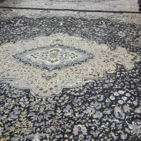 فرش ۱۲ متری ۵۰۰ شانه|فرش|آمل, |دیوار