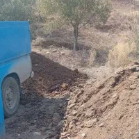 کود دامی|خدمات باغبانی و درختکاری|رشت, پارک شهر|دیوار