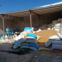 کارگر روزمزد خانم (کار در کارگاه)