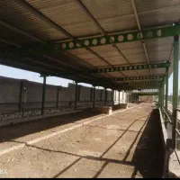 فروش دامداری|فروش دفتر صنعتی، کشاورزی، تجاری|سبزوار, قصبه غربی|دیوار