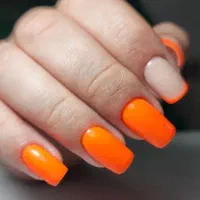 آپدیت یک روزه پودر و ژل فقط ۹۸۰|خدمات آرایشگری و زیبایی|شیراز, قصرالدشت|دیوار