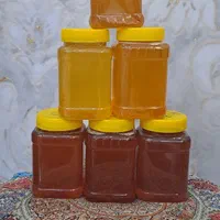 بورس انواع عسل ارگانیک ،پرورشی و معجون ۷ مغز|خوردنی و آشامیدنی|اهواز, کوروش|دیوار