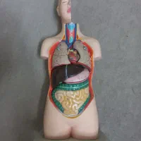 مولاژ