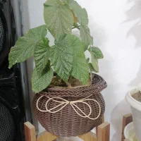 سبدهای دست بافت|صنایع دستی و سایر لوازم تزئینی|پیر بکران, |دیوار