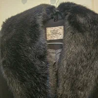 کاپشن و پالتو|لباس|پردیس, فاز ۱۱|دیوار