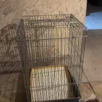 قفس پرنده ایستاده