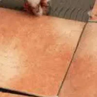 کاشیکاری وسنگکاری