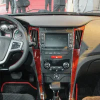 دنا اتوماتیک آپشنال