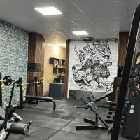 فروش تجهیزات بدنسازی|تجهیزات ورزشی|رشت, کاکتوس|دیوار