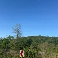 پلاک ۱ جنگل عالی شهرکی