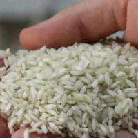 برنج عنبر بو