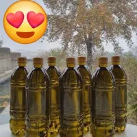 روغن زیتون فرابکر بانو گیلاکو