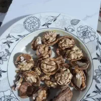 گرردو آذربایجان غربی درجه یک توپر مغز سفید بشرط