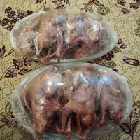 کبوتر کشتنی پاک کرده