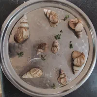 حلزون