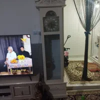 ساعت ایستاده