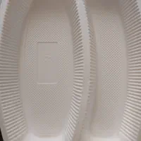 تعدادی ظرف گیاهی