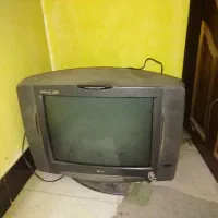 فرش|فرش|بوشهر, |دیوار