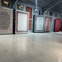 فرش ۵۰۰شانه نخ اکرولیک شونهر/فرشی بی رقیب|فرش|شیراز, لاله|دیوار