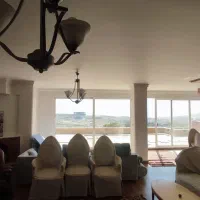 فاز-2-نخلستان-سند-تک-برگ