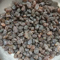 کشمش بیدانه