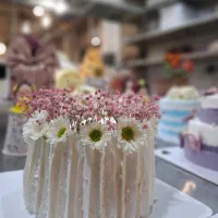 کیک تولد/ پک تولد/ کوکی و کیک مدرسه/حلوای مراسم