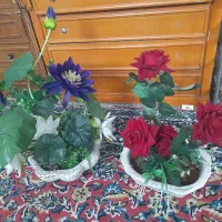 گل و گلدان مصنوعی|گل مصنوعی|مشهد, طلاب|دیوار