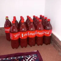 رب خانگی