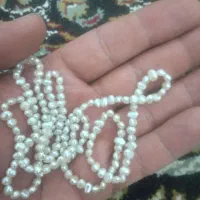 مرواریداصل