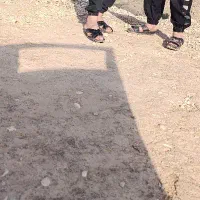 زمین مسکونی گلالک