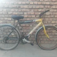 دوچرخه|دوچرخه، اسکیت، اسکوتر|گنبد کاووس, |دیوار