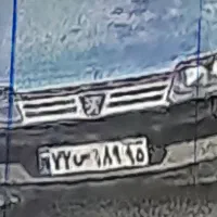 پاچن گم شده هر کی دید اطلاع بده لطفا|حیوانات|سراوان, |دیوار