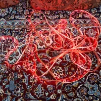 ال ای دی شلنگی کنترلی|ریسه و چراغ تزئینی|قم, چهل درخت‎|دیوار