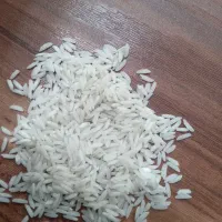 برنج هاشمی|خوردنی و آشامیدنی|لاهیجان, گلستان|دیوار