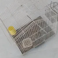 قفس پرنده وتله سره