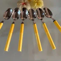 قاشق برند باریکو