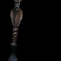 قیلیون میوه ی