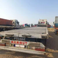 فروش کفی ماموت