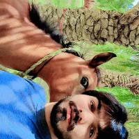 اسب باکره|اسب و تجهیزات اسب‌سواری|قلعه گنج, |دیوار