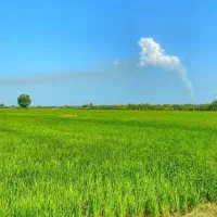 فروش-2700-متر-زمین-کشاورزی