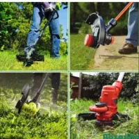 علف زن|خدمات باغبانی و درختکاری|طاهرگوراب, |دیوار