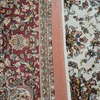 قالی تراکم ۲۵۵۰|فرش|گنبد کاووس, |دیوار