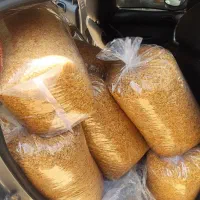 پیاز داغ خانگی(پیاز سرخ کرده) و سیر داغ|خوردنی و آشامیدنی|تهران, خلیج فارس|دیوار