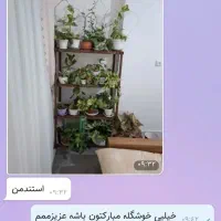 شلف|کتابخانه، شلف، قفسه‌های دیواری|قم, نوقطار|دیوار