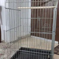 قفس کاسکو
