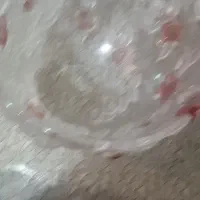 ظرف میوه خوری